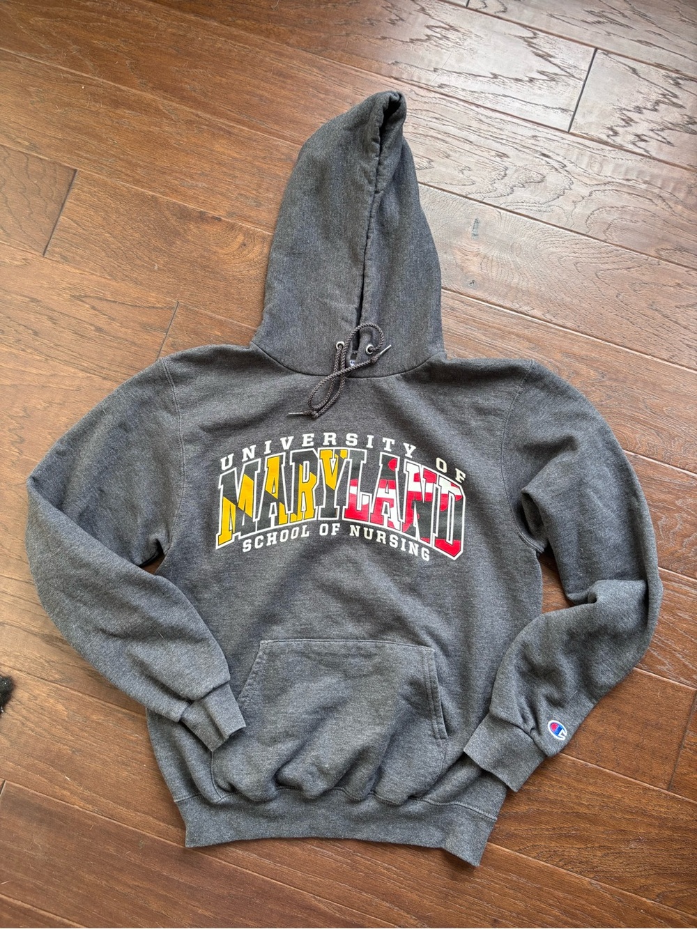 University of Maryland School of Nursing Gray Hoodie Small